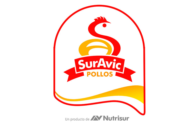 2001 – Nace SurAvic